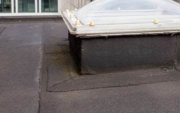 disadvantages of Buddileigh flat roofs
