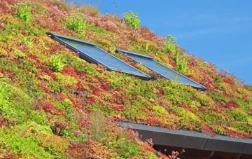 Buddileigh living roof systems