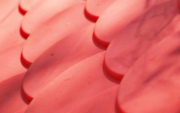 Buddileigh plastic roof costs