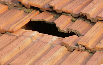 roof repair Buddileigh, Staffordshire