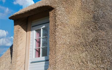 Buddileigh thatch roof disadvantages