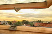 rated Buddileigh roof window companies